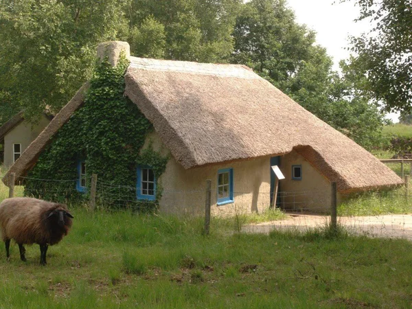Bild 1: Moormuseum Moordorf
